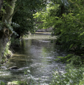 Le Petit-Morin