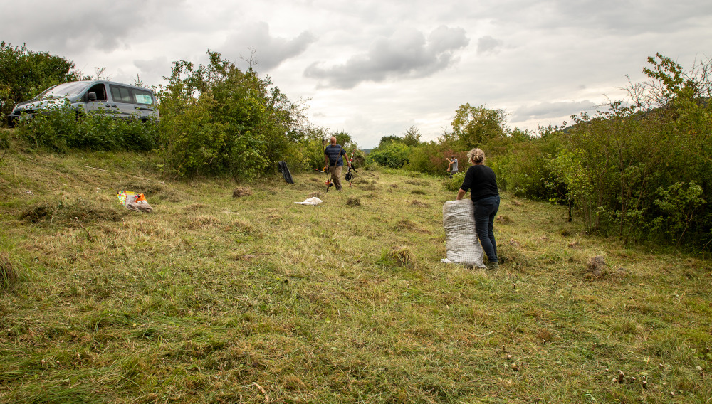 chantier prairie Verdelot
